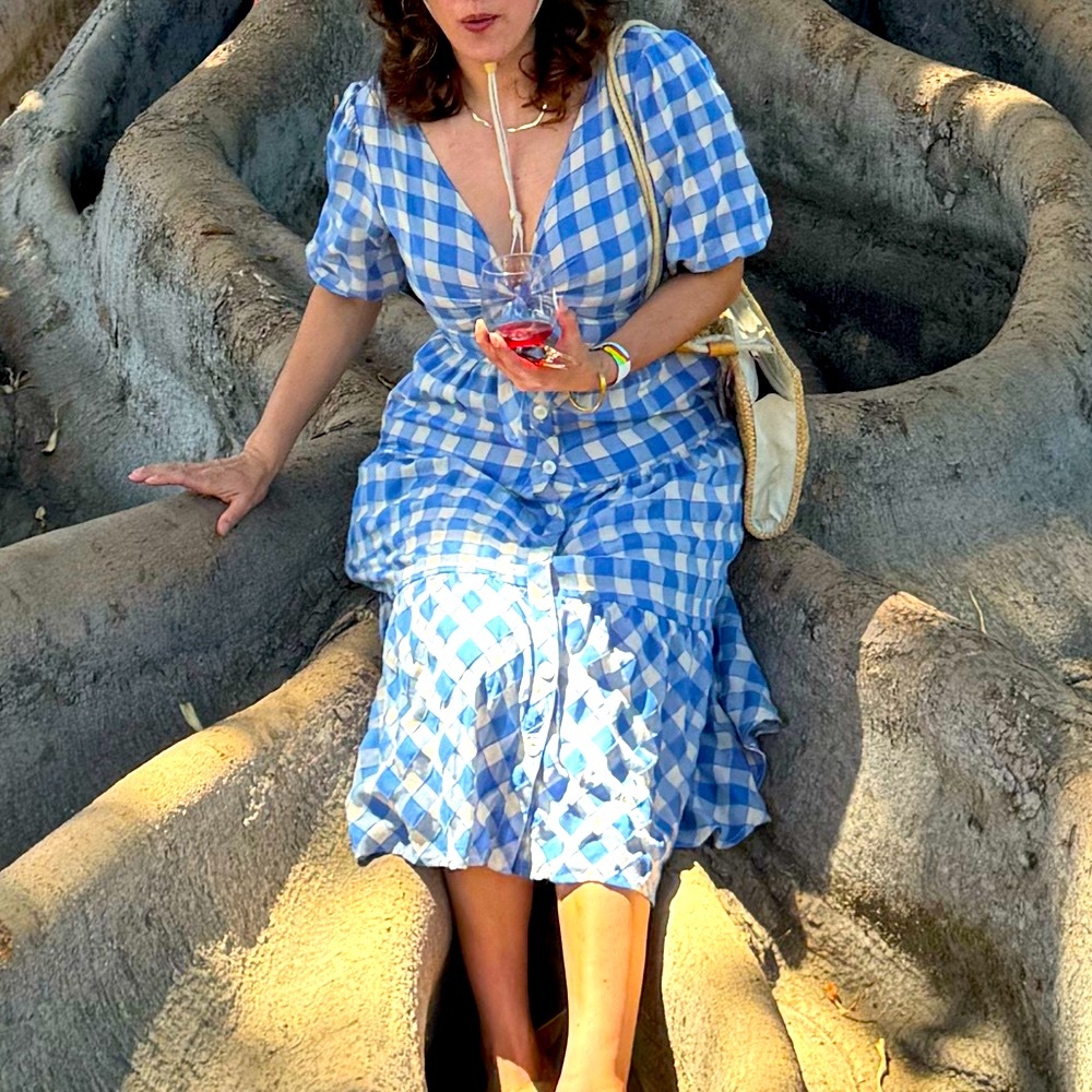 Folkie Blue and White Plaid Textured Women’s Dress